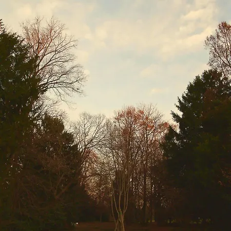 Giardino Jappelli ベッド・アンド・ブレックファスト