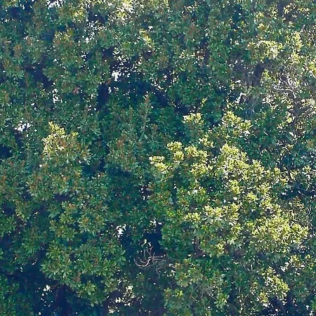 Giardino Jappelli 3*