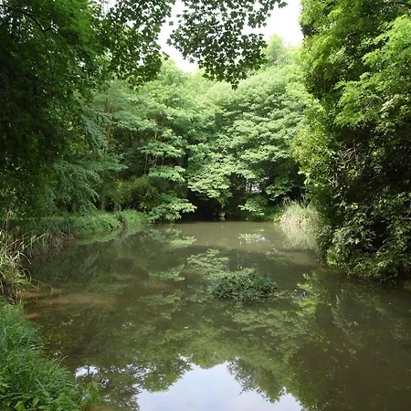 Giardino Jappelli Bed & Breakfast Rosa