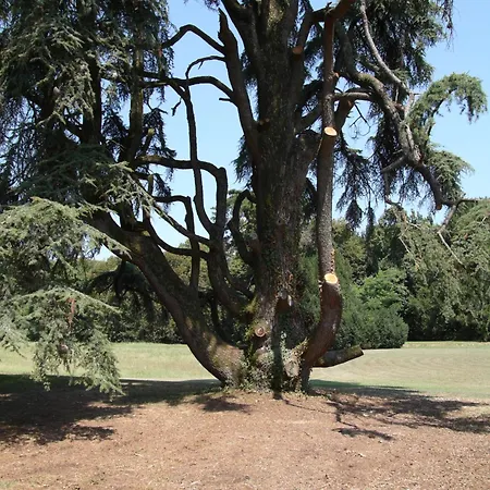 ベッド・アンド・ブレックファスト Giardino Jappelli 3*