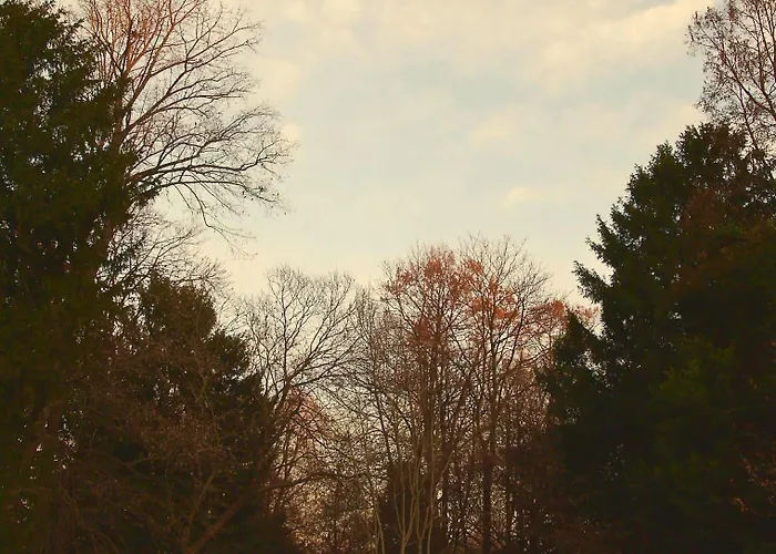 Giardino Jappelli فندق مبيت وإفطار