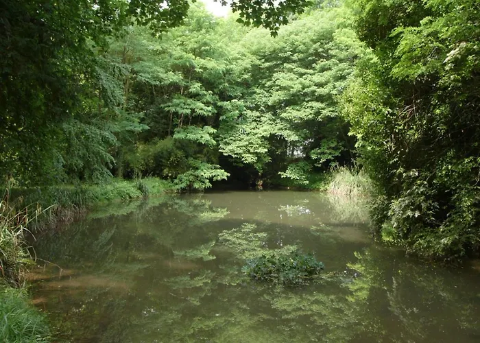 Giardino Jappelli 3* Rosà