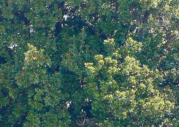 Giardino Jappelli 3*