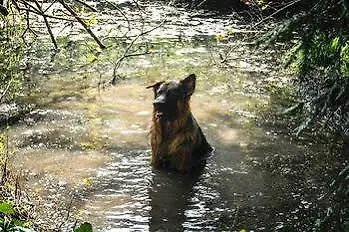 Giardino Jappelli 3*
